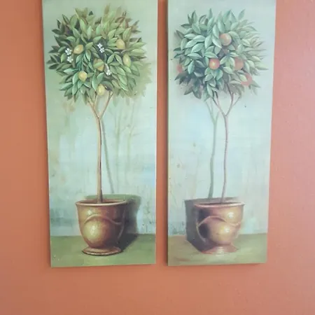 Appartement Hortensie *