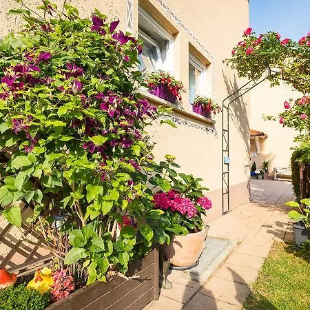 Hortensie 마르크도르프